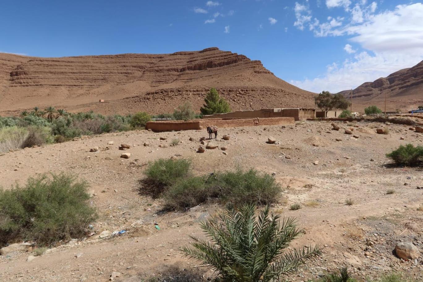 Gite D'Etape Ziz Oasis Achbarou エクステリア 写真