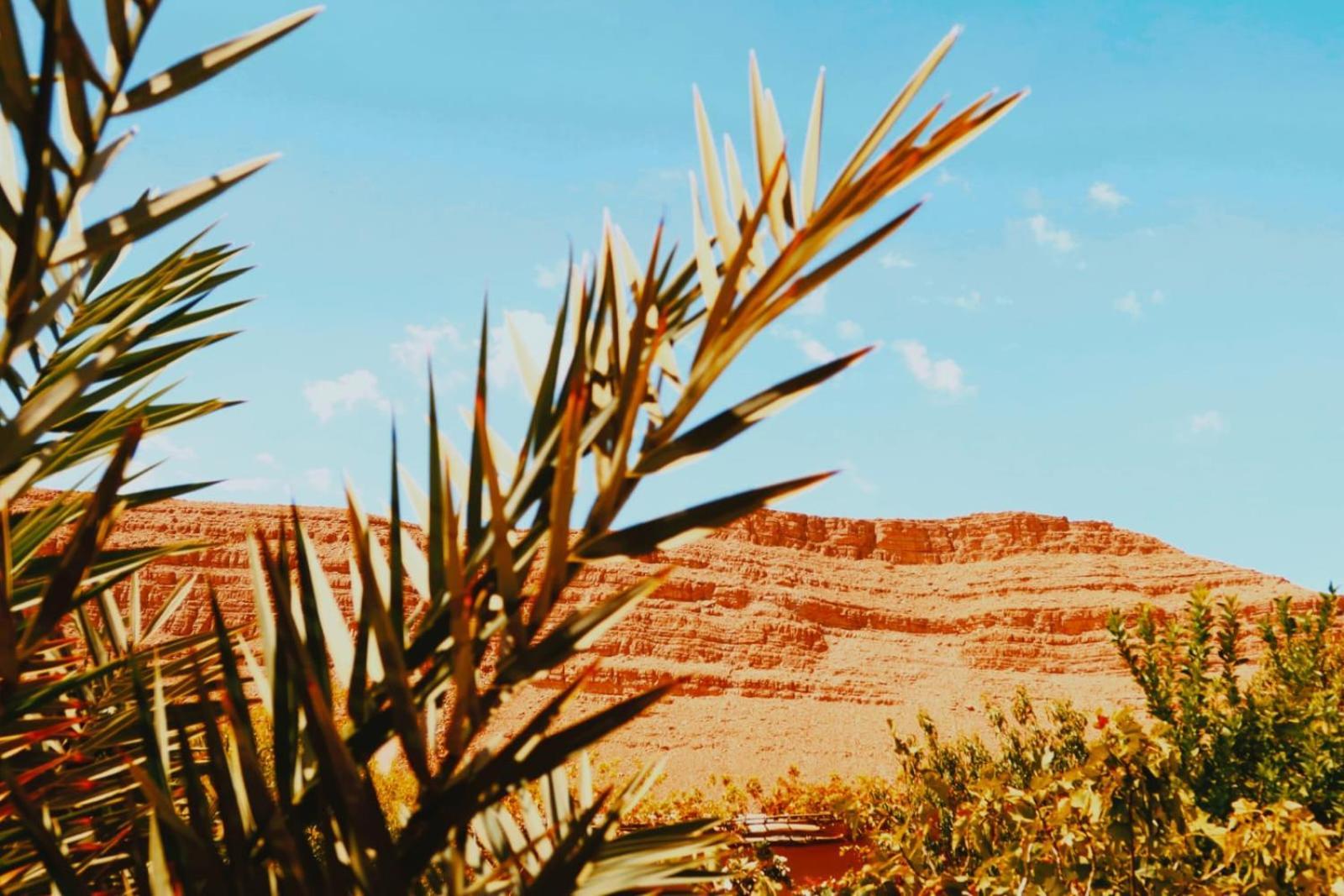 Gite D'Etape Ziz Oasis Achbarou エクステリア 写真