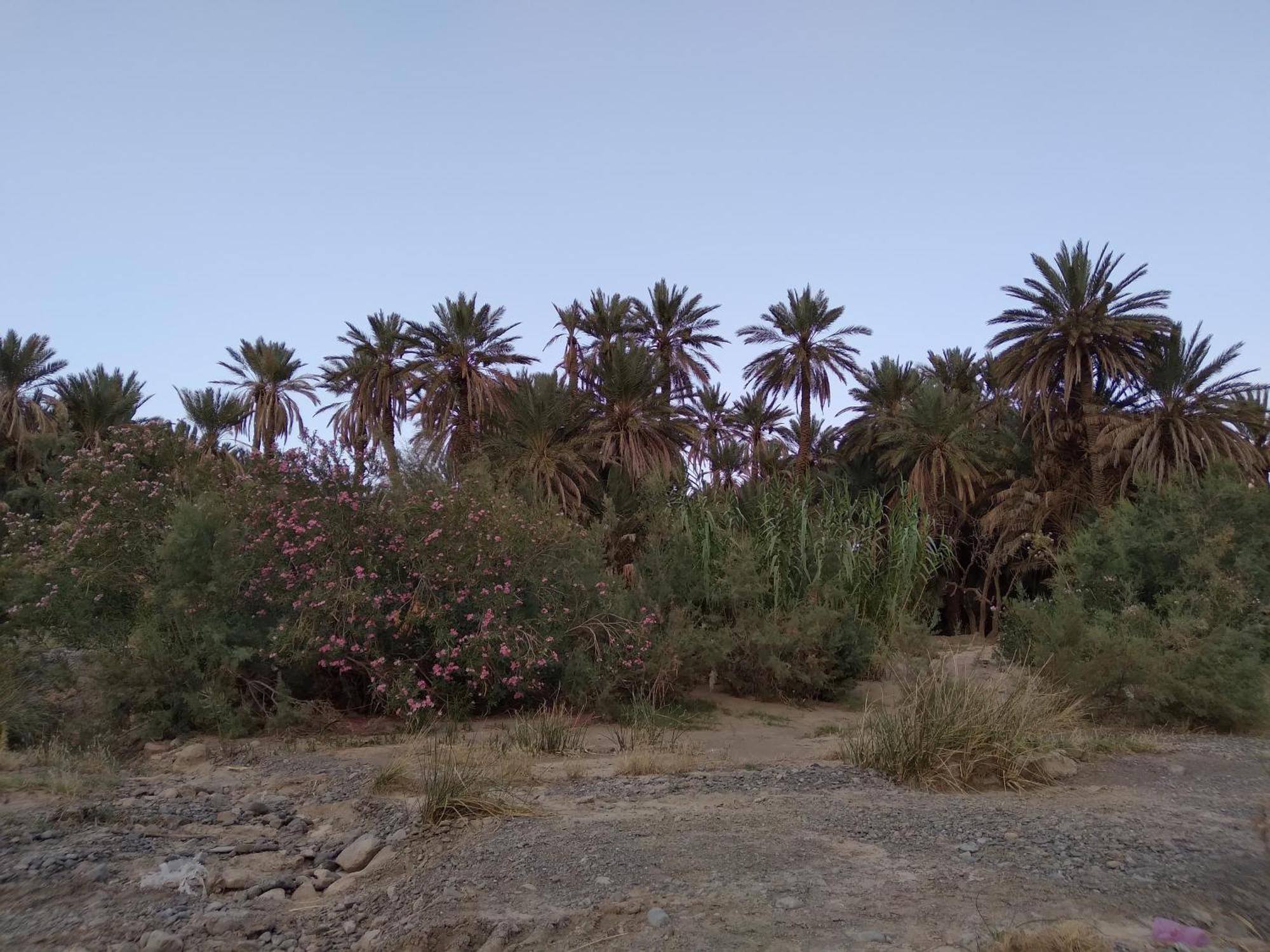 Gite D'Etape Ziz Oasis Achbarou エクステリア 写真