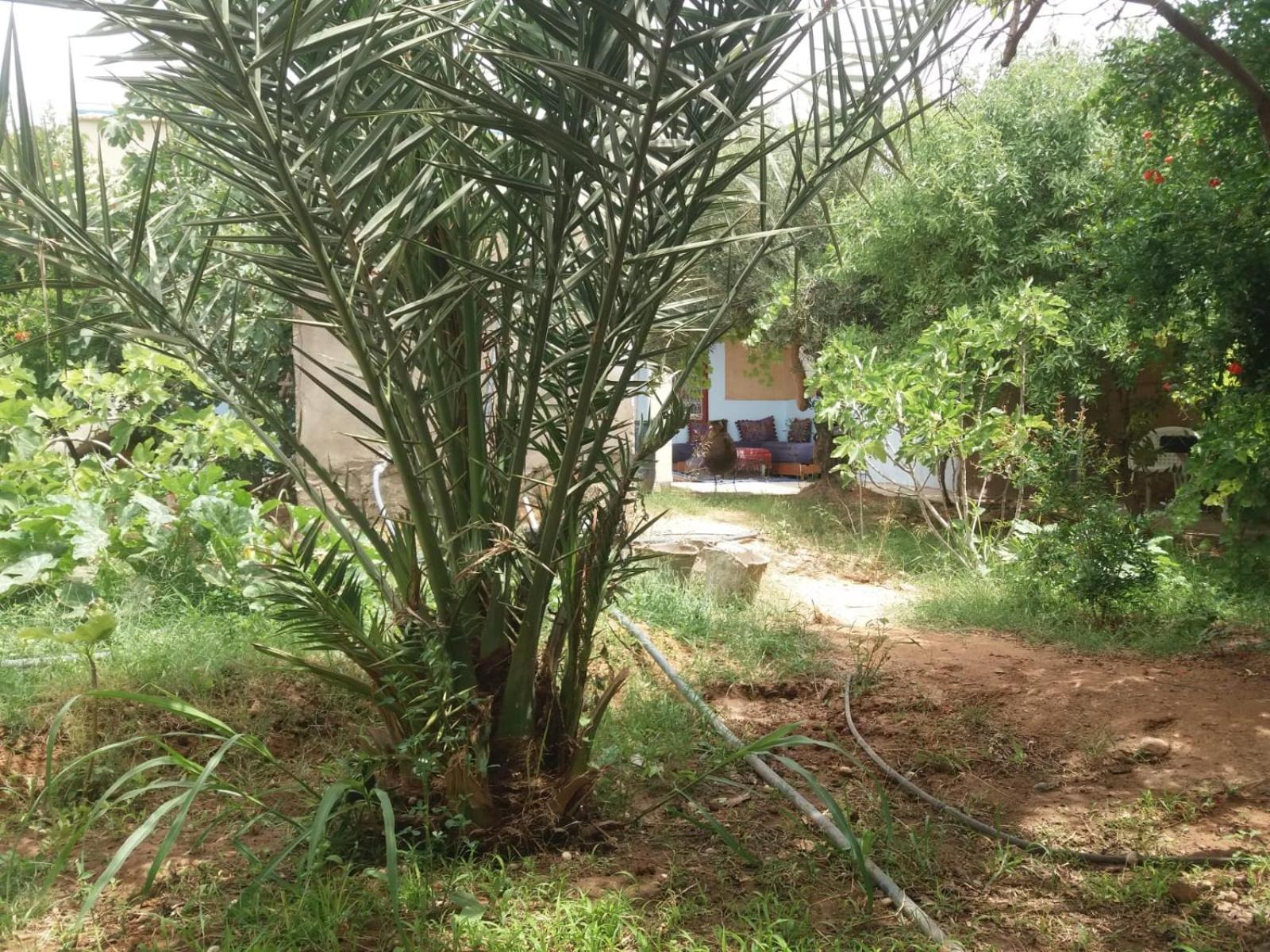 Gite D'Etape Ziz Oasis Achbarou エクステリア 写真